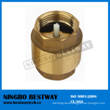 Hot Sale Brass Check Valve with Plastic Core (BW-C03)